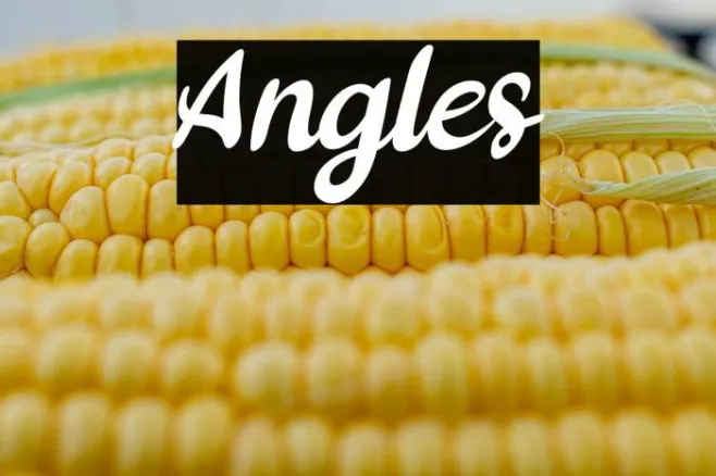 Angles Example 3