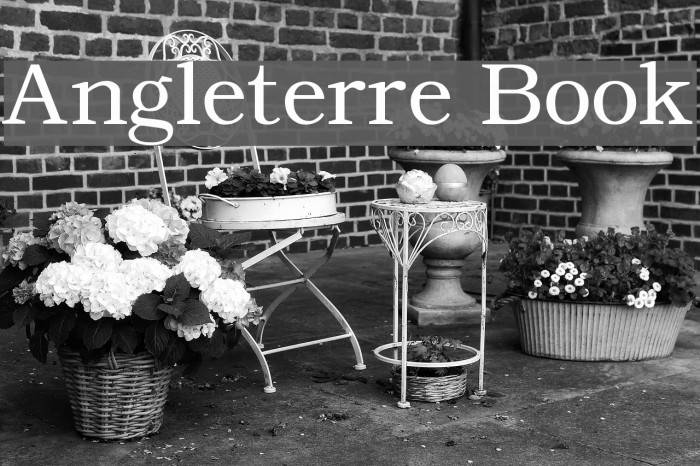 Angleterre Book Fonte examples