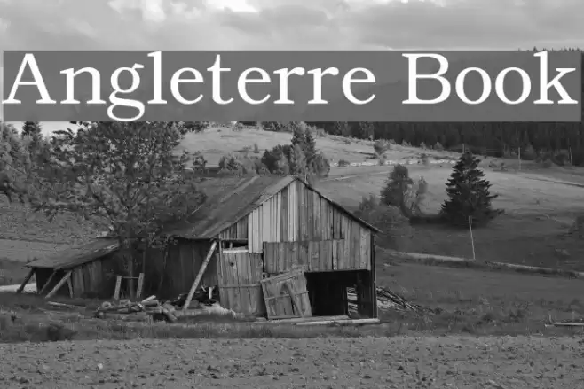Angleterre Book Fonte examples