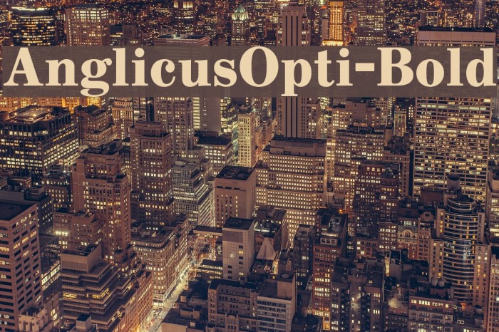 AnglicusOpti-Bold Font examples