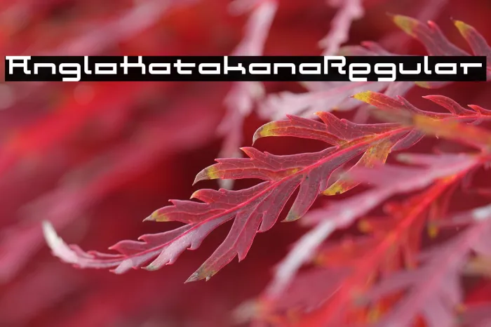 Anglo Katakana Regular Example 2