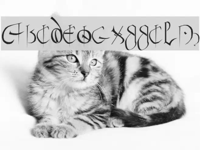 Anglo Sax Plain Font examples