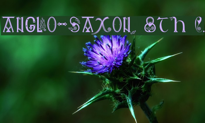 Anglo-Saxon, 8th c. Fuentes examples