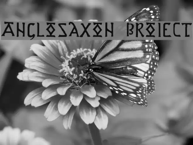 Anglo-Saxon Project Font examples