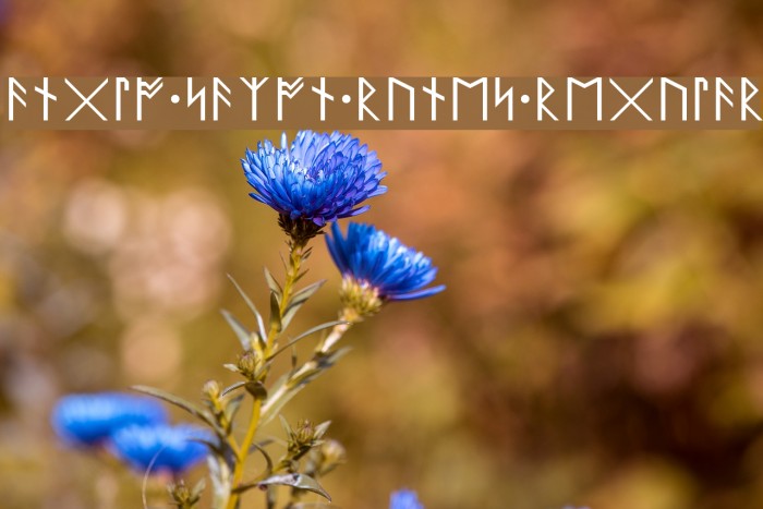 Anglo Saxon Runes Regular Example 2