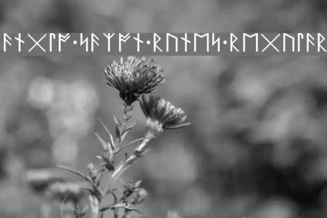 Anglo Saxon Runes Regular Font examples