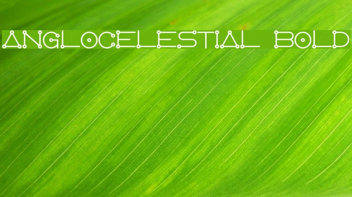 AngloCelestial Bold Example 2
