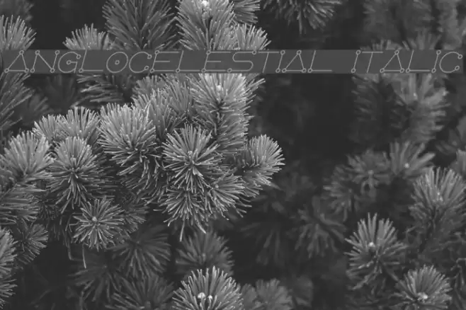 AngloCelestial Italic Font examples