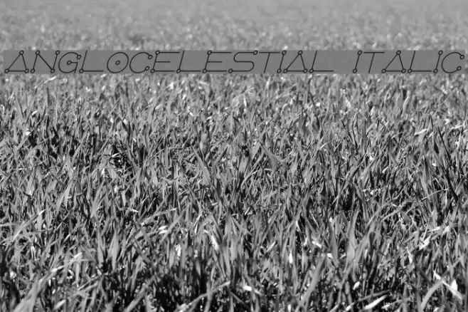 AngloCelestial Italic Font examples