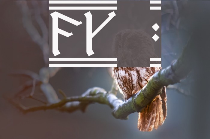 AngloSaxon Runes 2 Example 2