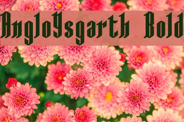 AngloYsgarth Bold Example 3