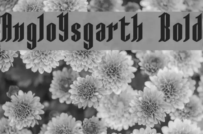 AngloYsgarth Bold Font examples