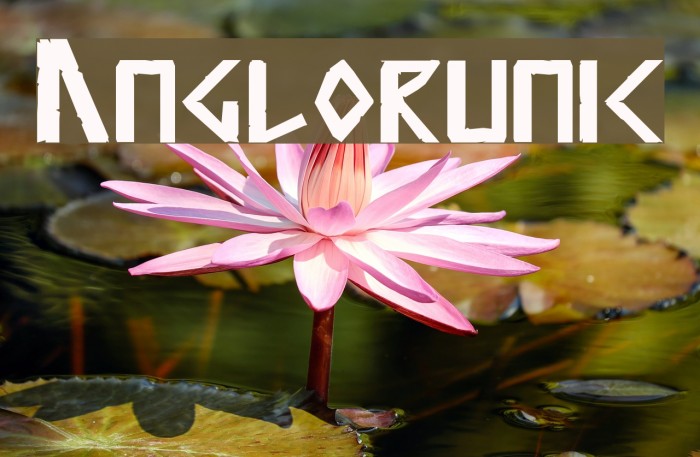 Anglorunic Font examples