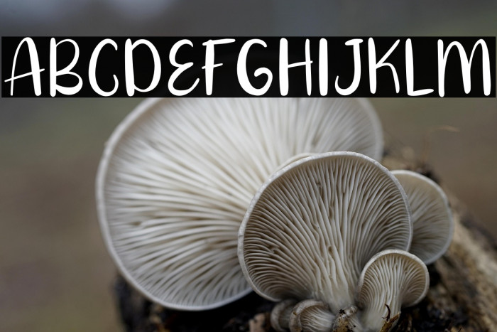 Angola Beach Example 1