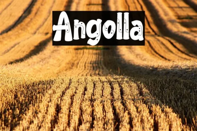 Angolla Example 2