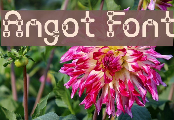 Angot Font examples