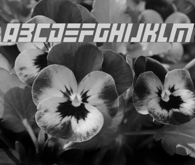 Angry Android Italic Font examples