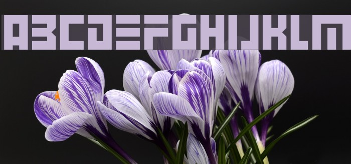 Angry Android Font examples