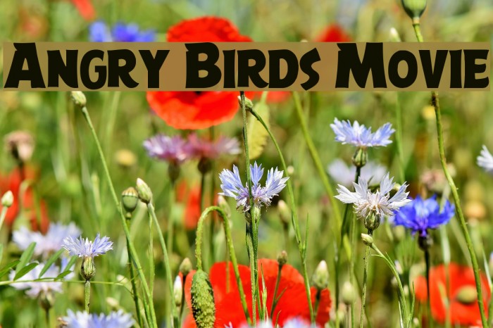 Angry Birds Movie Font examples