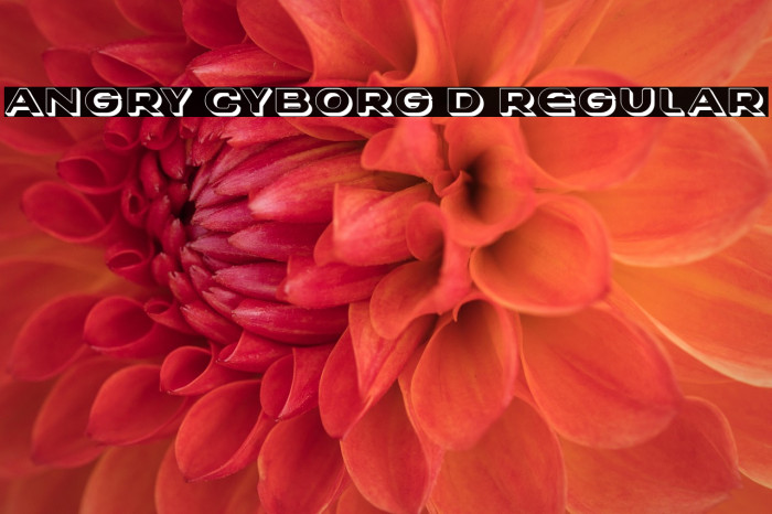 Angry Cyborg 3D Regular Example 2