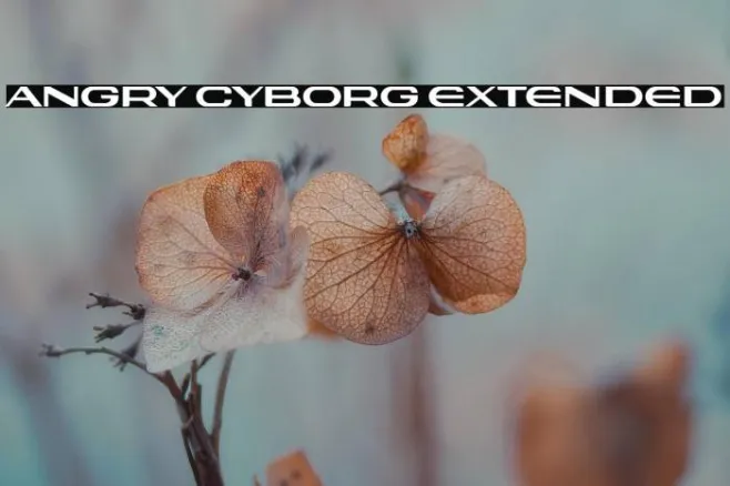 Angry Cyborg Extended Example 2