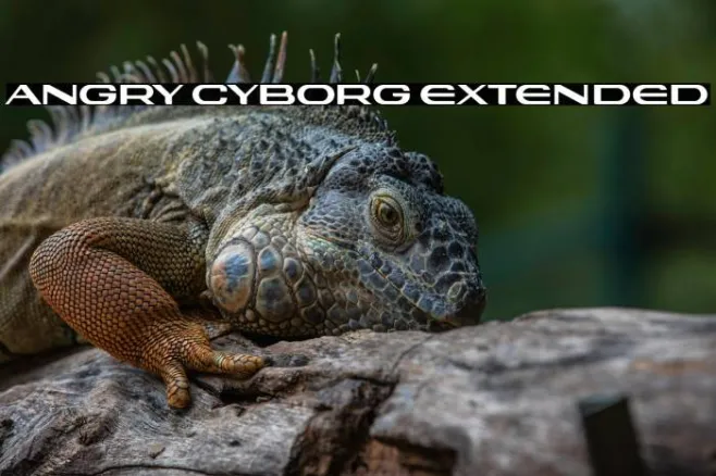 Angry Cyborg Extended Example 3