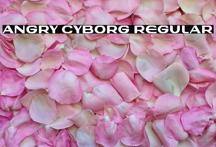 Angry Cyborg Regular Example 2