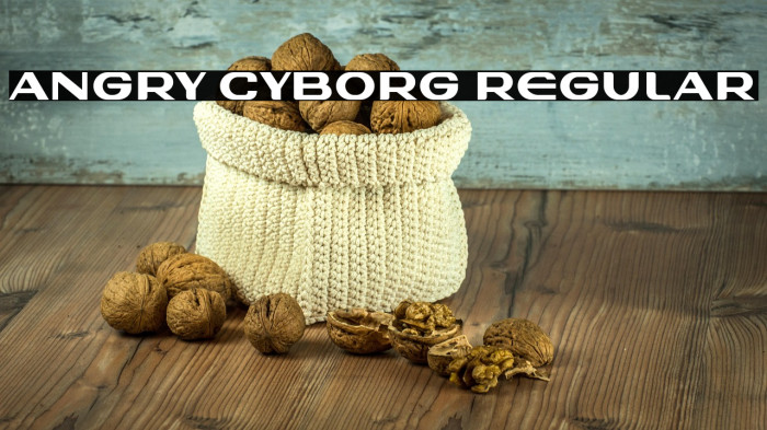 Angry Cyborg Regular Example 3