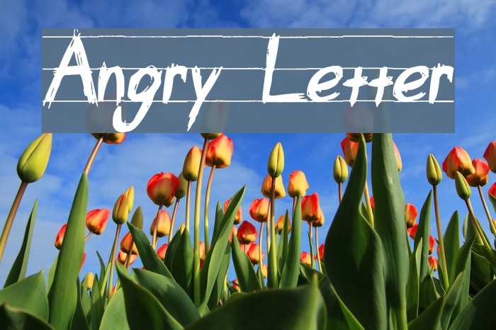 Angry Letter Font examples