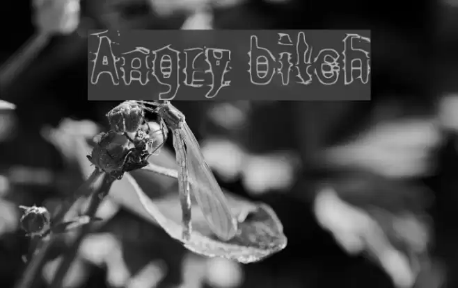 Angry bitch フォント examples