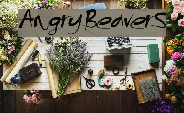 AngryBeavers Font examples