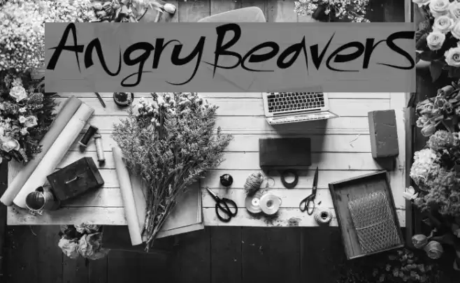 AngryBeavers Polices examples