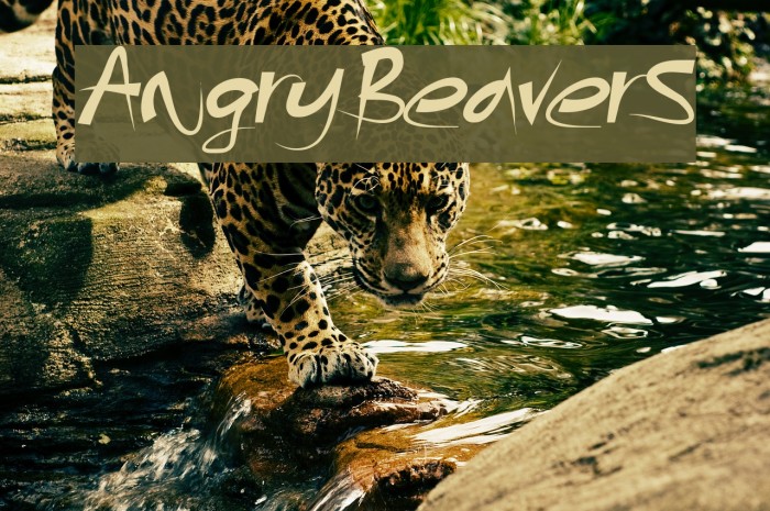 AngryBeavers Font examples