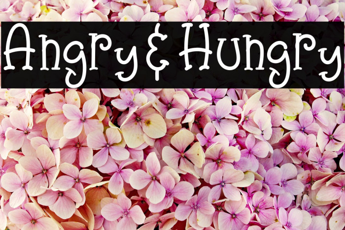 Angry&Hungry Font examples