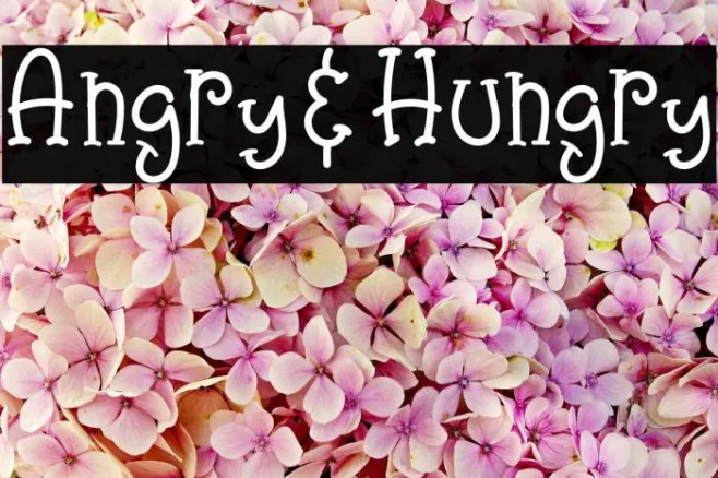Angry&Hungry Example 1