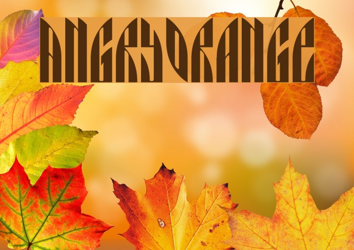 AngryOrange Example 3