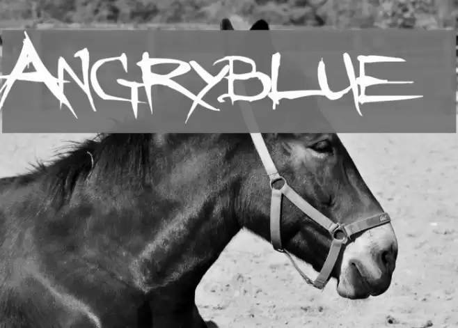 Angryblue फ़ॉन्ट examples