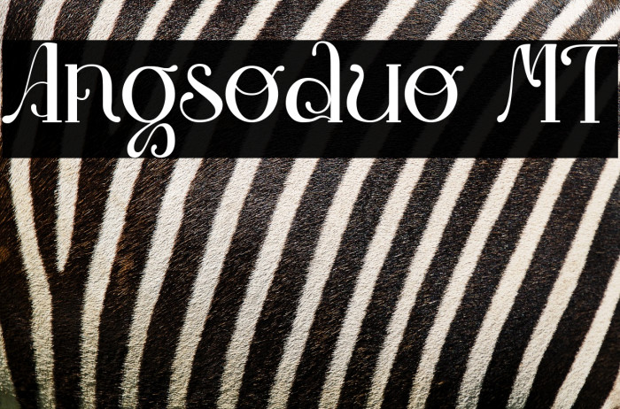 Angsoduo MT Example 1