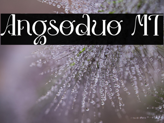 Angsoduo MT Example 2