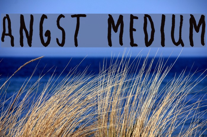 Angst Medium Font examples