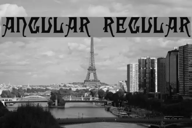 Angular Regular Polices examples