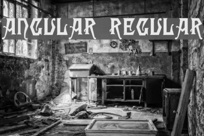 Angular Regular Polices examples