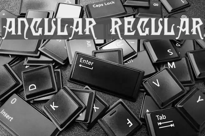 Angular Regular Polices examples