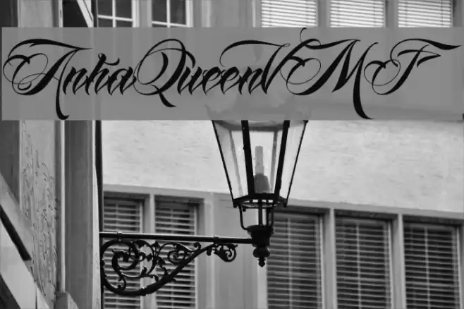 AnhaQueenVMF Font examples