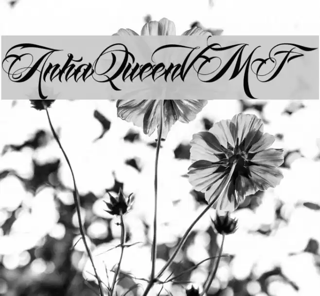 AnhaQueenVMF Font examples