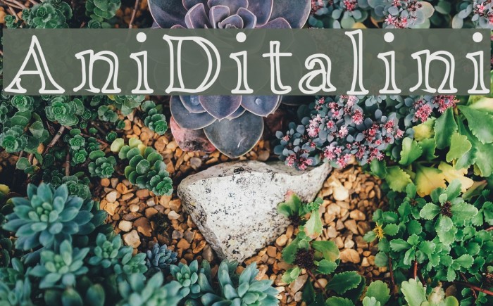 AniDitalini Font examples