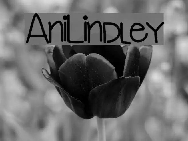 AniLindley Font examples