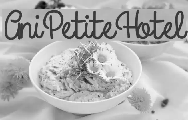 AniPetiteHotel Font examples