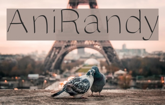 AniRandy Font examples