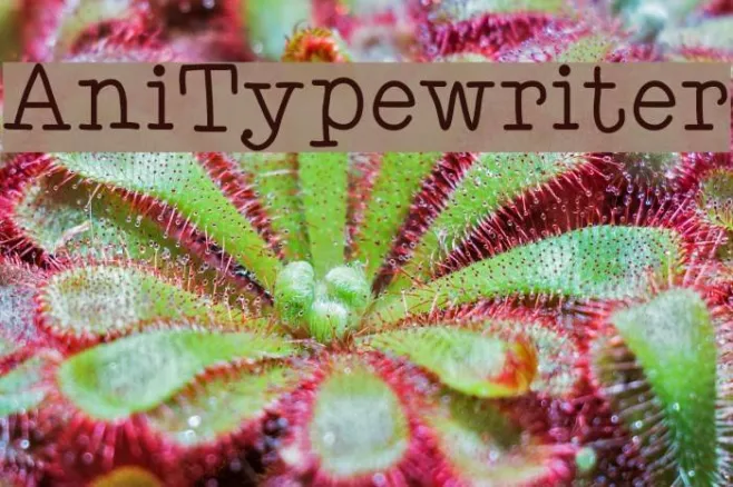 AniTypewriter Example 1
